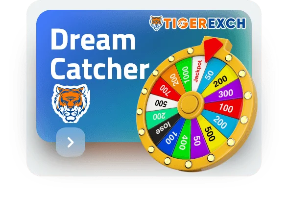 dream catcher
